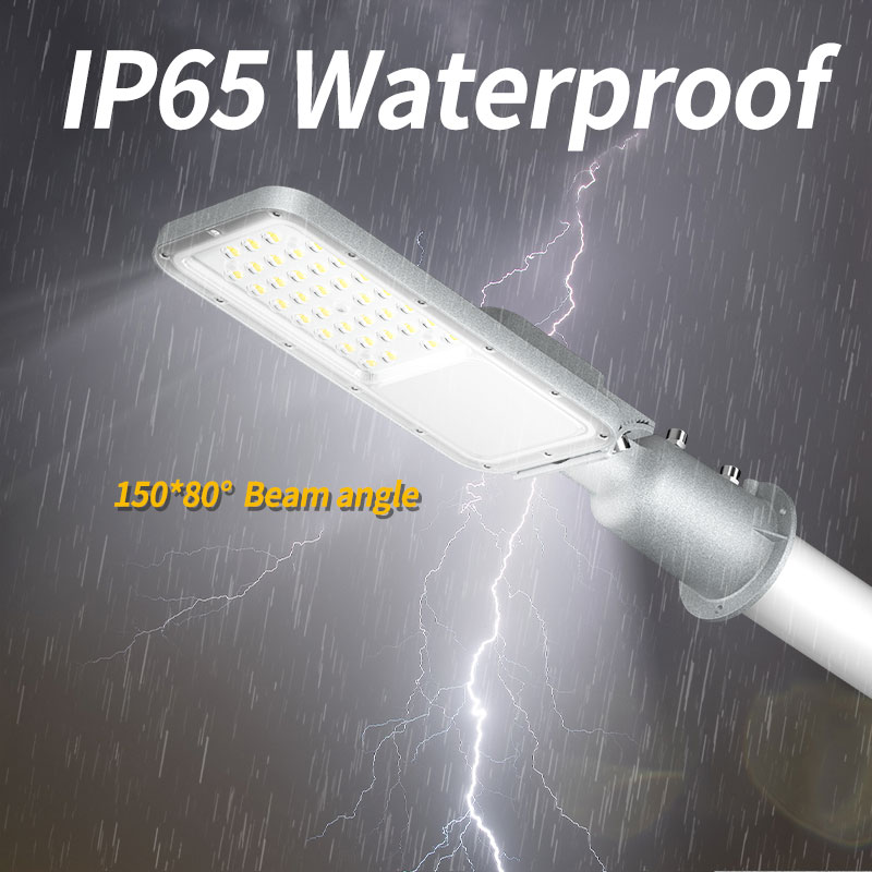 Outdoor Street Light IP65 Outd - Urban Farming Wall review and price