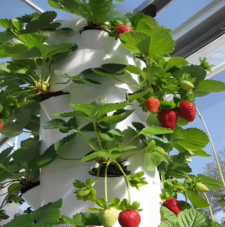 Modular hydroponic growth wall - Urban Farming Garden review and price